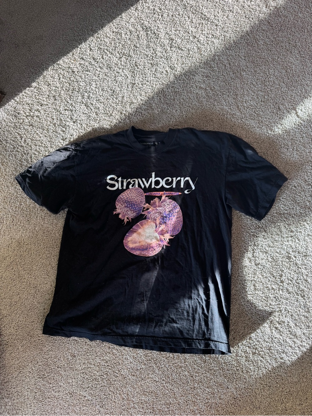 Strawberry Graphic Tee - Black Men’s Short Sleeve